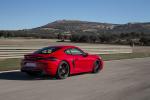 Porsche 718 Cayman GTS 2017 года (WW)